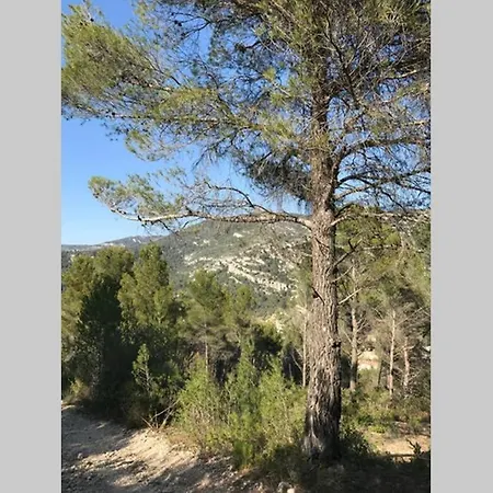 La Mansio Casa vacanze *